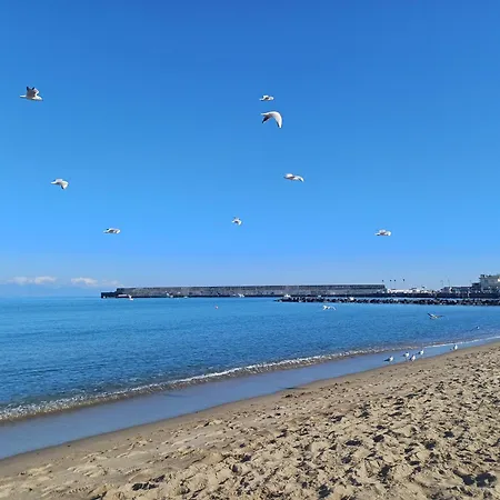 Lägenhet 49 - Da Frank *